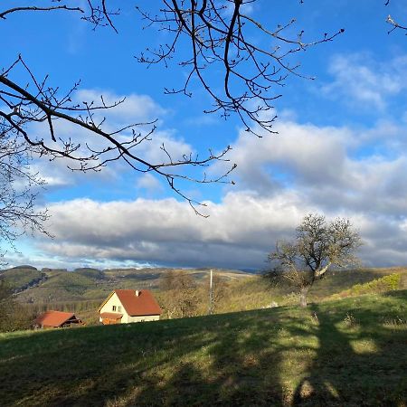 Nature Homestay Trenčín エクステリア 写真