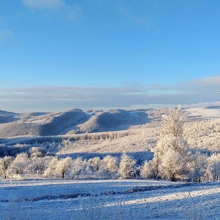 Nature Homestay Trenčín エクステリア 写真