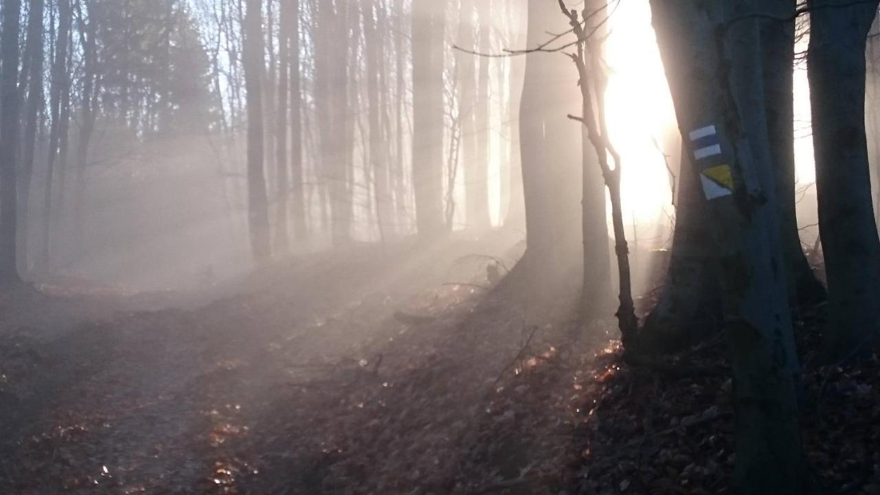 Nature Homestay Trenčín エクステリア 写真