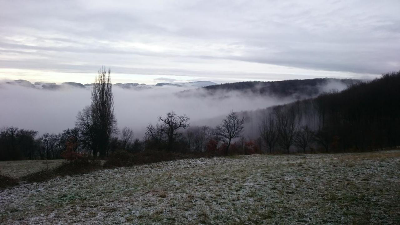 Nature Homestay Trenčín エクステリア 写真