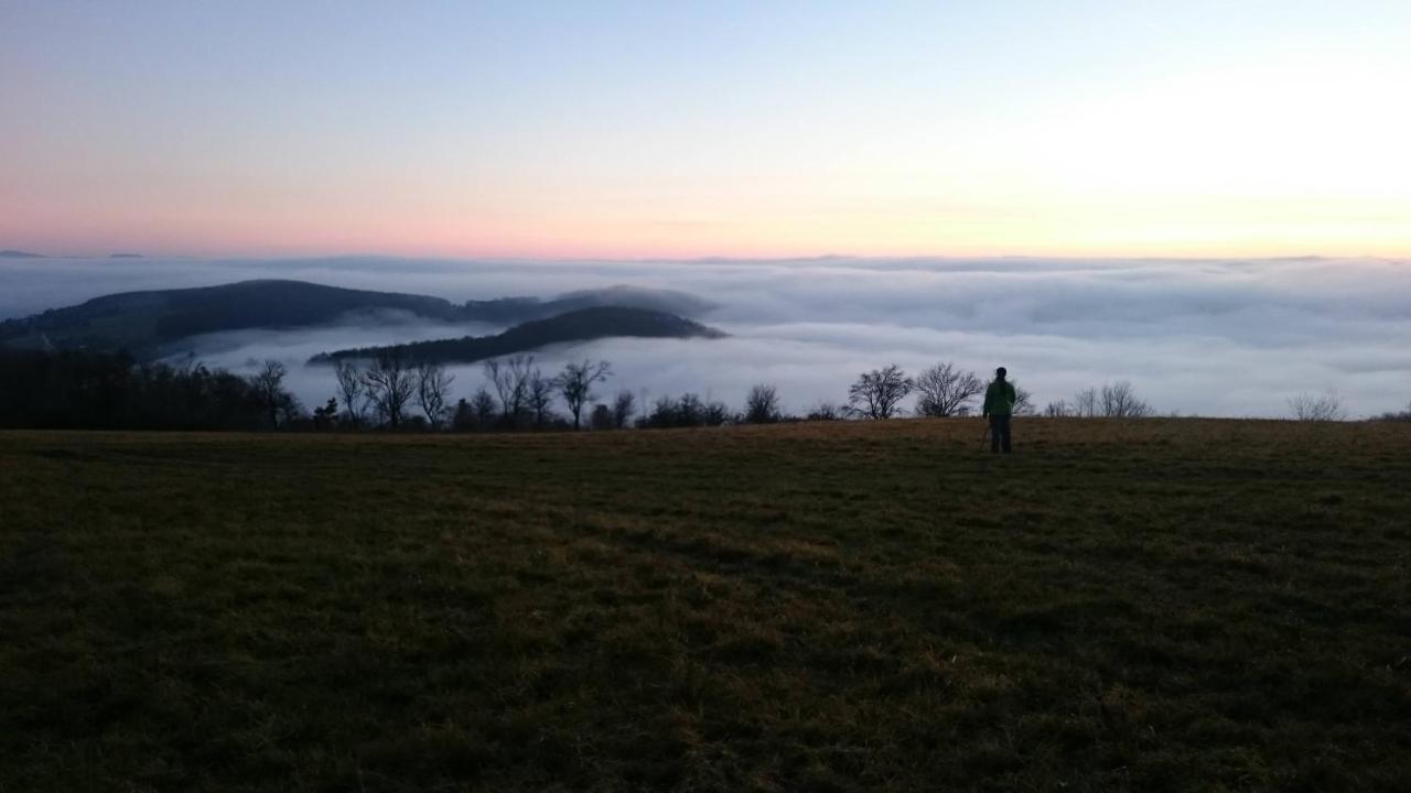 Nature Homestay Trenčín エクステリア 写真