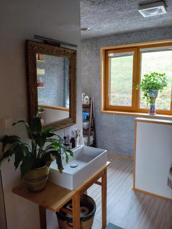 Nature Homestay Trenčín エクステリア 写真