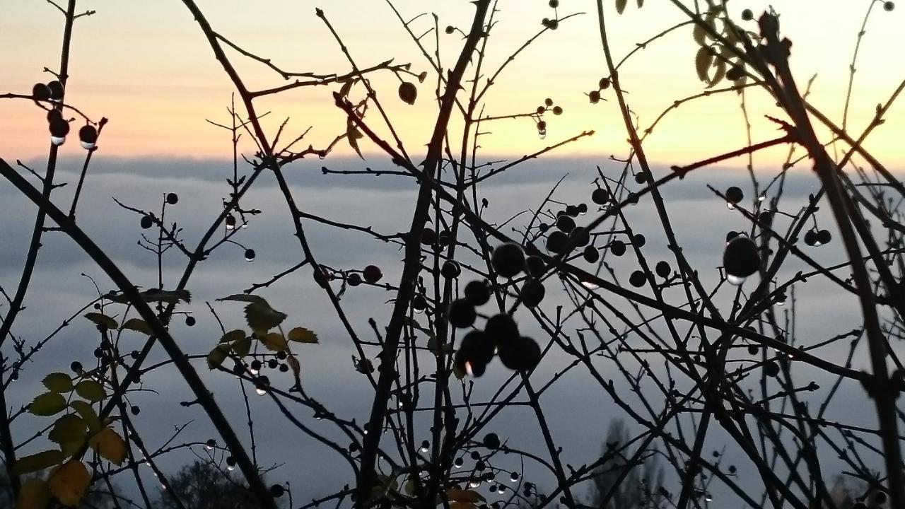 Nature Homestay Trenčín エクステリア 写真