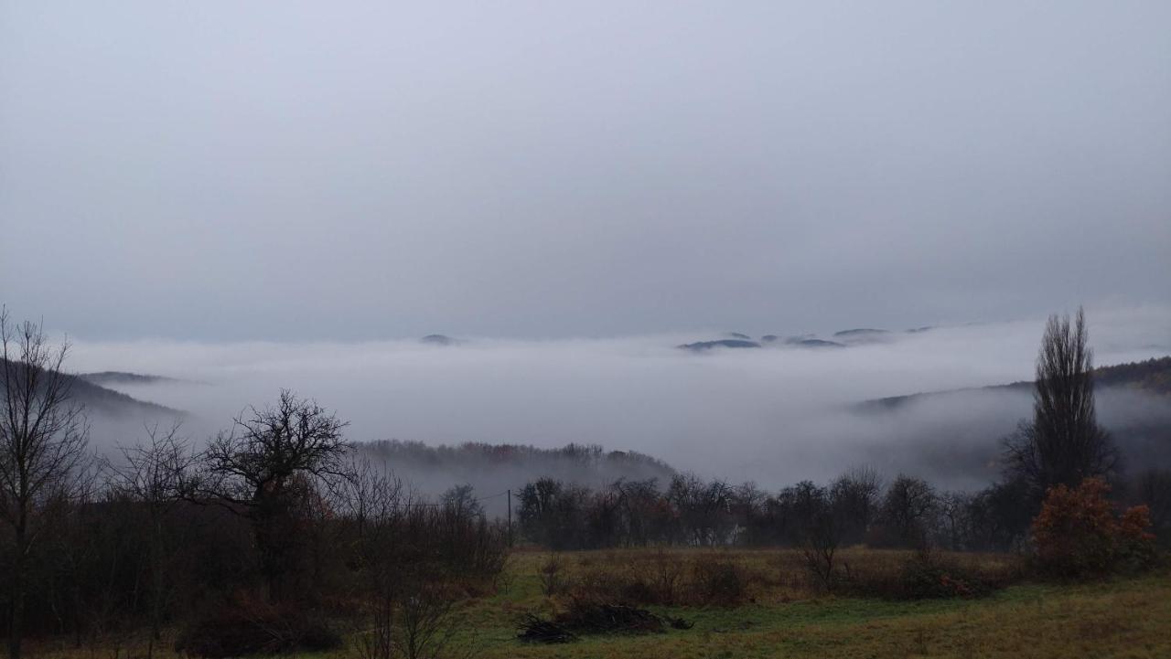Nature Homestay Trenčín エクステリア 写真