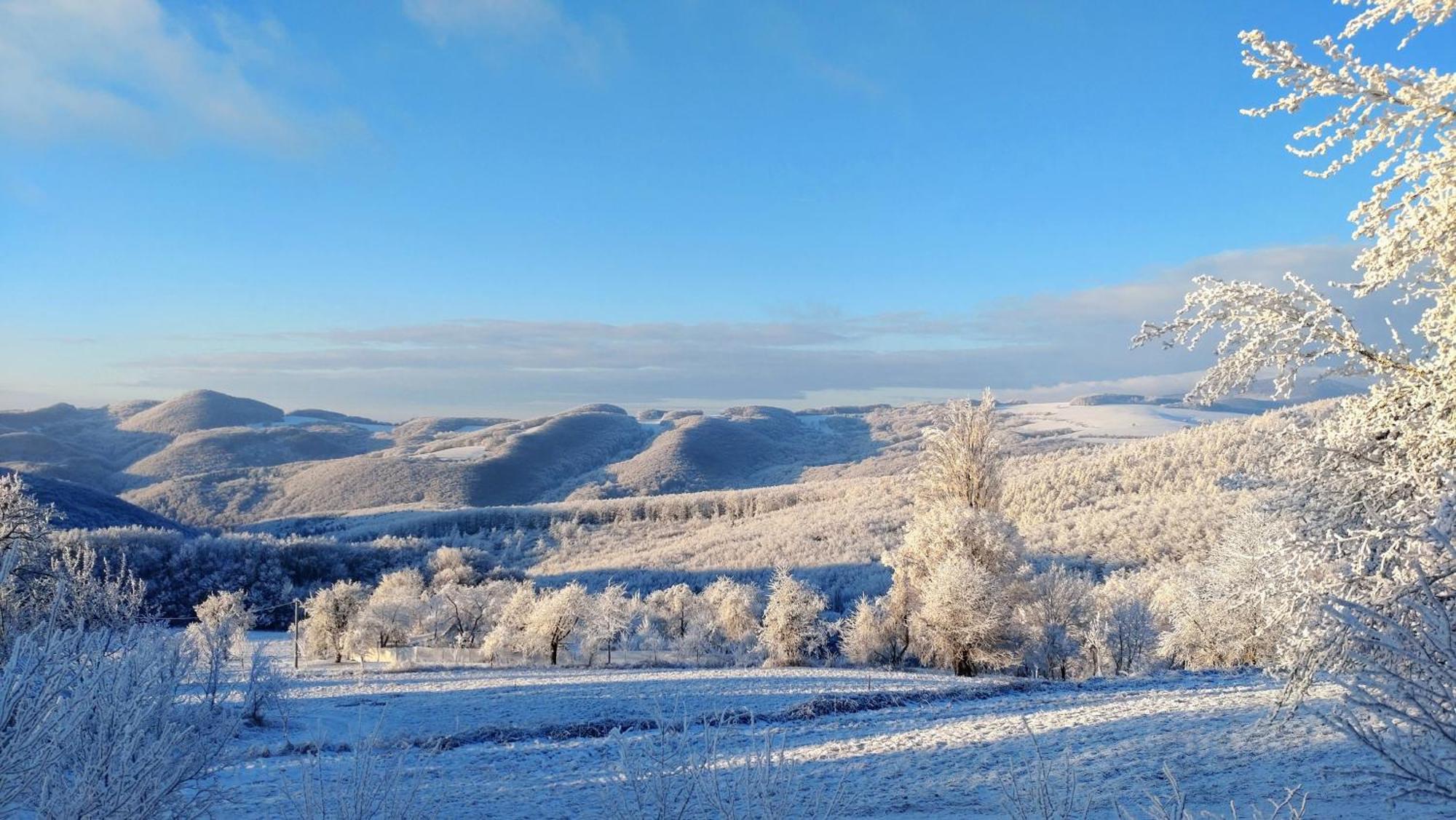 Nature Homestay Trenčín エクステリア 写真